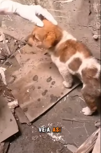 M1404005 Pensé que ese hueco sería mi tumba hasta que un ángel me cargó de (Part 2)
