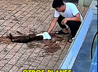 M1404012 Esta madre sierva tras dar luz reaccióna de una manera inesperada. (Part 2)