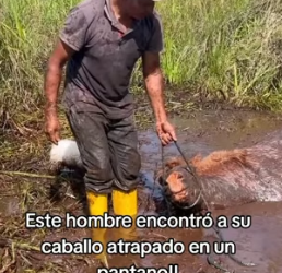 R1404008 este es un vídeo digno de compartir hacerlo viral! son acciones que (Part 2)
