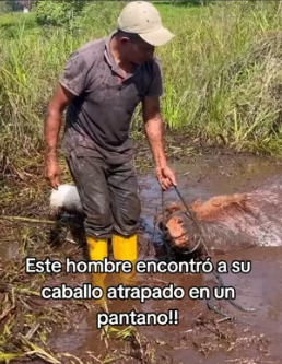 R1404008 este es un vídeo digno de compartir hacerlo viral! son acciones que (Part 2)