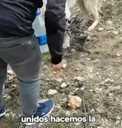 R1404006 Cristiano Ronaldo sabe lo que es ser un guerrero, pero este rescate lo dejaría sin palabras (Part 2)