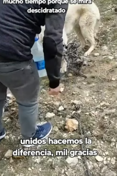 R1404006 Cristiano Ronaldo sabe lo que es ser un guerrero, pero este rescate lo dejaría sin palabras (Part 2)