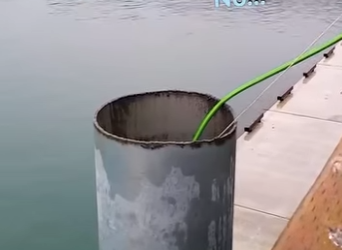 M1404003 Alaskan Hero Saves Trapped Birds in a Genius Way 🐦❤️ (Part 2)