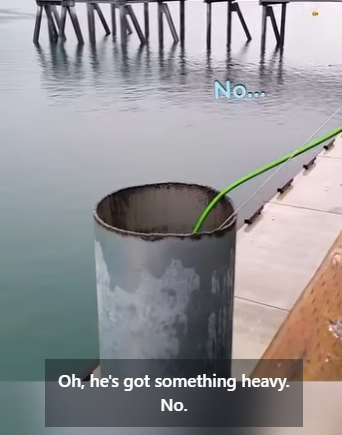 M1404003 Alaskan Hero Saves Trapped Birds in a Genius Way 🐦❤️ (Part 2)