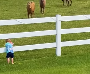 M1404001 Toddler Won’t Forget This Magical Moment ❤️✨ (Part 2)