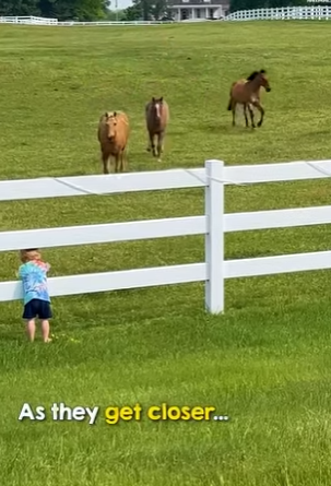 M1404001 Toddler Won’t Forget This Magical Moment ❤️✨ (Part 2)