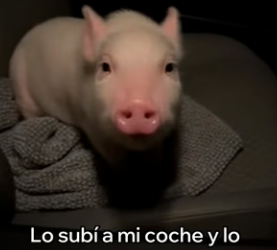 V1404009 Tu dinero muestra tus valores. ¿Qué dice el tuyo hoy, Cristiano Ronaldo (Part 2)