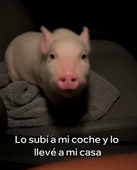 V1404009 Tu dinero muestra tus valores. ¿Qué dice el tuyo hoy, Cristiano Ronaldo (Part 2)