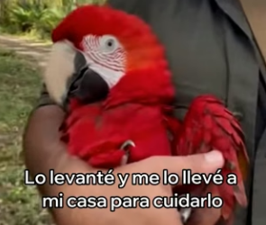 V1404002 El dinero habla, pero un rescate le devuelve el habla al corazón. (Part 2)