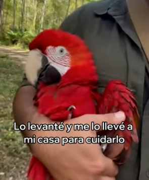 V1404002 El dinero habla, pero un rescate le devuelve el habla al corazón. (Part 2)