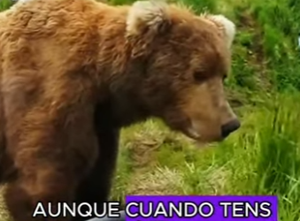 A1504010 Bears and people (Part 2)