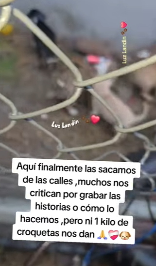 M0204002 Cuántos vivieron el proceso (Part 2)