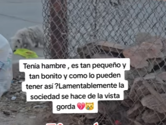 M0204001 Dios mío 😥 (Part 2)