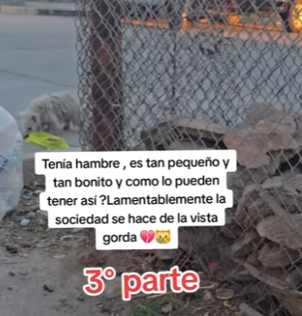 M0204001 Dios mío 😥 (Part 2)