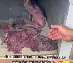 R1604012 ¿Qué importa más lo que tienes en el banco o lo que salvaste de la calle (Part 2)