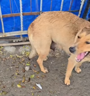 M0204010 Una historia mas para contar (Part 2)