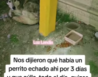 Si alguien lo abandono _ no sean así el está muy triste y los extraña ,llora todo el día AÚN TE EST (Part 2)