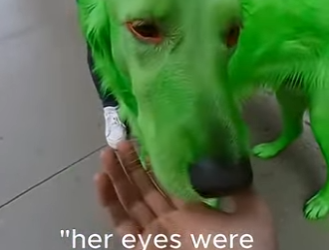 B1504006 she was crying (Part 2)