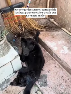 R0104006 Upon seeing me, fearful of humans, he desperately tried to hide (Part 2)