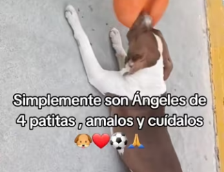 M0204006 si alguien donó o quiere donar para unos balones mandar mensaje y mando evidencia de que estoy en co (Part 2)