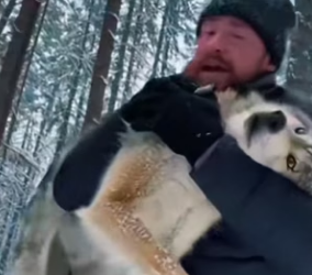 A1904004 When Baby Wolf Knocked on My Door An Unforgettable Winter Rescue (Part 2)