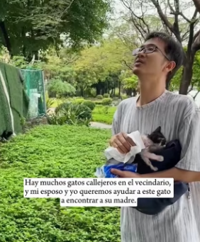 R0104004 Found stray kitten, its unique whiskers made it look incredible (Part 2)