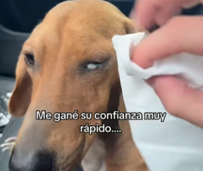 M1804003 Conoces la historia se Buster Bachicha (Part 2)