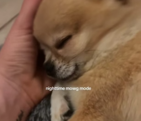 H1904005 Robert Downey Jr. is Iron Man, but do you have a heart of gold (Part 2)