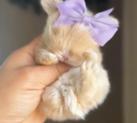 H1904008 Things fade… kindness stays. What’s your choice today, Post Malone (Part 2)