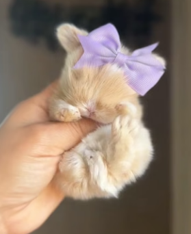 H1904008 Things fade… kindness stays. What’s your choice today, Post Malone (Part 2)