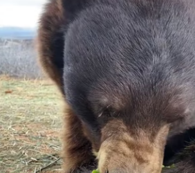 H1904002 One night out at the club vs. One year of safety for a broken soul (Part 2)