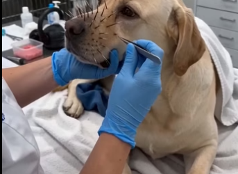 B1604012 Jenna Ortega plays dark roles, but nothing is darker than a soul left behind (Part 2)