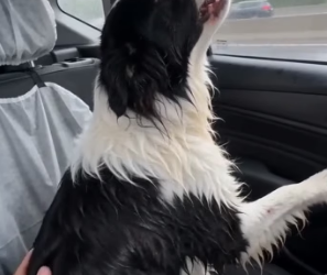 B1604009 Zendaya knows style, but kindness is the only thing that never goes out of fashion (Part 2)