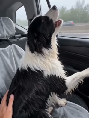 B1604009 Zendaya knows style, but kindness is the only thing that never goes out of fashion (Part 2)