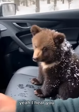 P2104009 A mansion has many rooms, but does it have room for compassion (Part 2)