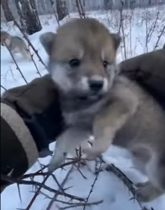 P2104008 Why buy a piece of luxury when you can be a piece of a miracle (Part 2)