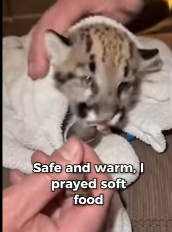 P2104011 We spend thousands to look good, but cost nothing to be good (Part 2)