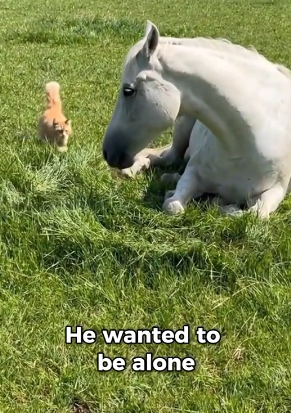 P2104010 A five-star dinner is forgotten by morning. Feeding a starving soul is remembered for an eternity (Part 2)