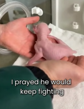 P2104012 Luxury cars drive you to places. Kindness drives the world forward (Part 2)