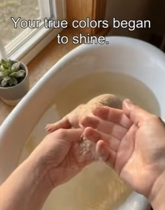 F2004011 A mansion has many rooms, but does it have room for compassion (Part 2)