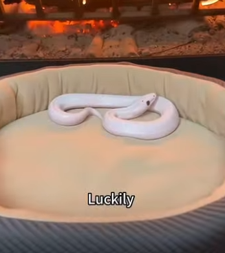 F2004012 Your watch tells the time. Your actions tell your character (Part 2)