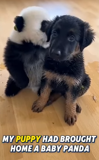 F2004007 Gold is heavy, but a heart full of mercy is light as a feather (Part 2)