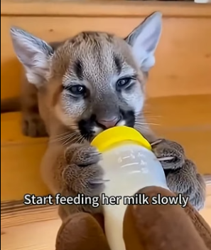 F2004009 What matters more what you own or what you save (Part 2)