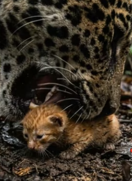 F2004010 We are rich in things, but poor in time for those who need us (Part 2)