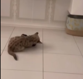 F2004002 Don’t just build a career. Build a world worth living in (Part 2)