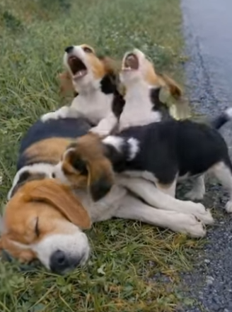 Y1804004 IShowSpeed has the energy, but does he have the heart to slow down for this soul (Part 2)