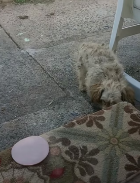 R2004003 Your legacy isn’t your bank balance; it’s the lives you touched (Part 3)