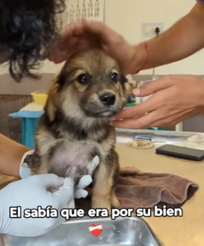 R2004009 The best things in life aren’t things. They are heartbeats (Part 2)