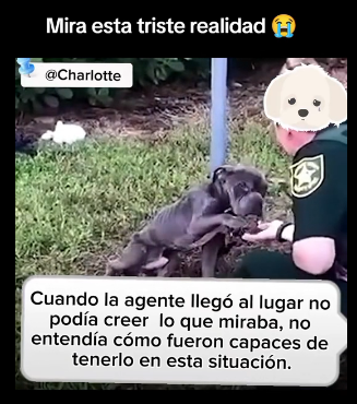 R2004006 Money talks, but a rescue speaks to the spirit (Part 2)