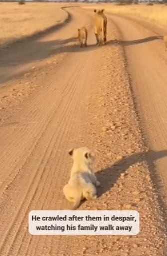 P0304004 Donald Trump would demand justice for this innocent soul. (Part 2)